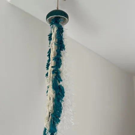 Le Poulpe Bleu Frontignan